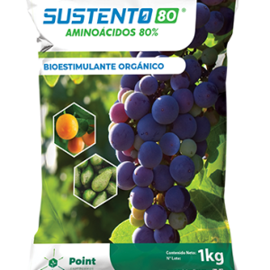 SUSTENTO 80% X 1 KG (Aminoacidos)