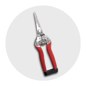 Tijera de corte recto largo CORONA - AG 4930SS